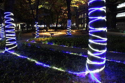 クリスマスデートの“穴場”…イルミネーションの素敵なキャンパスまとめ 画像