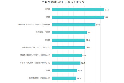 旦那さん冷や汗!?…「主婦が節約したい出費ランキング」発表 画像