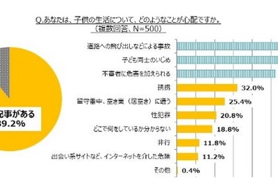 母親の心配尽きない小学生の夏休み…85％が「危険が増える」 画像