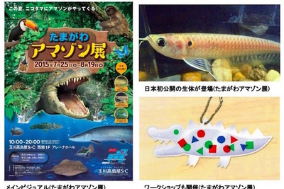 【夏休み】“タマゾン”川のたもと、玉川高島屋で「アマゾン展」開催 画像
