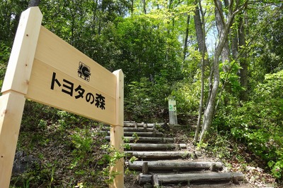 環境学習施設 トヨタの森、「みどりの社会貢献賞」を受賞 画像