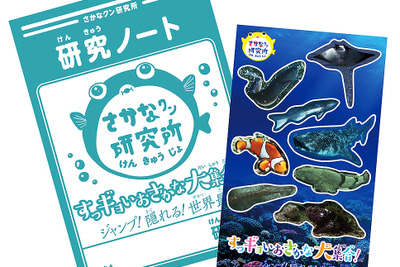 世界初!?　ノートに記録しながら観る映画…クルマや電車で世界の海へ 画像