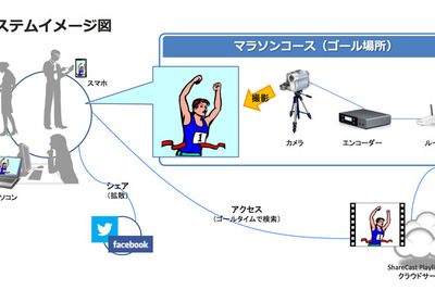 宮崎・青島太平洋マラソン、参加ランナー映像をゼッケンで検索 画像