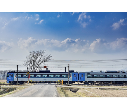 消えたJR北海道のキハ183系一般車…札幌-網走間の『キハ183系