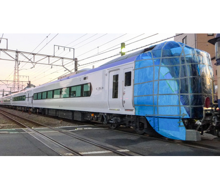 920246.jpg