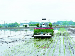 田植えも自動運転、ヤンマーがロボット農機第2弾発売へ 画像