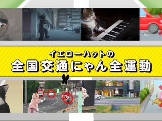 「猫を交通事故から守れ!」世界初の猫専用交通安全動画、イエローハットが公開 画像