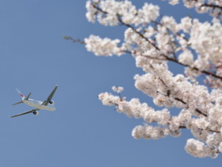 JapanTaxiがJALと協業、スムーズで快適な移動を提供 画像