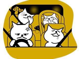【アンケート結果】今ここでそれを言うか?…運転中に聞きたくないセリフ 画像