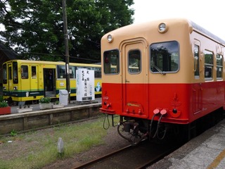 同じ千葉の中小鉄道が応援…小湊鐵道の災害復興へ向けた記念切符を発売 12月8日から 画像