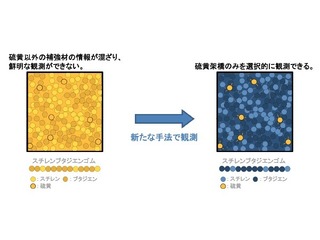 タイヤ用ゴム内部の特定材料を選択的に観測 住友ゴムと茨城大学が手法を確立 画像