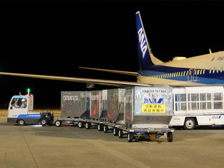 ANA×豊田自動織機、トーイングトラクターの自動走行実証実験をセントレアで実施へ 画像