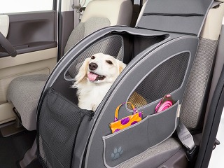ホンダ、愛犬用アクセサリー装着車両のカーシェアサービス開始 画像