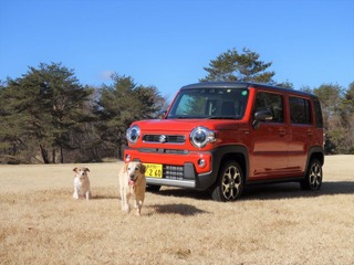 【青山尚暉のわんダフルカーライフ】軽自動車でも天候や路面に左右されない、クロスオーバーモデル 画像