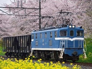 秩父鉄道の貨物専用駅で初イベント…石灰石輸送用貨車20両編成も初入線 10月3・4日 画像