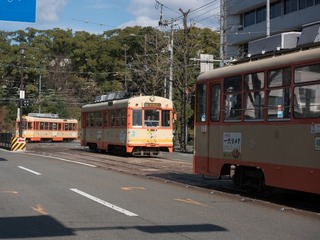 鉄道とバスによる「伊予鉄MaaS」アプリ 四国で初めて 画像
