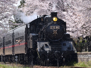 真岡鐡道のSL列車、3月13日に自粛解除…6・7月は車両検査で運休に 画像