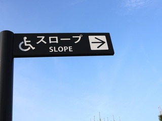 誰もが移動しやすいモビリティ社会実現へ あいおいニッセイ同和損保とWheeLog提携 画像