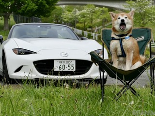 【柴犬ハルの気になるクルマ】マツダ ロードスター に乗って“チェアリング”体験をしてみた 画像