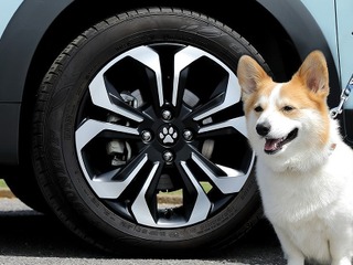 癒やしの肉球デザイン、ホイールセンターキャップ&シフトノブカバー発売…ホンダアクセス 画像