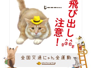 猫の交通事故なくせ…キャットストリートに光る「飛び出し注意」看板 画像