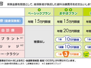 エース損保、「歯の保険」を10月から販売開始…国内損保初 画像