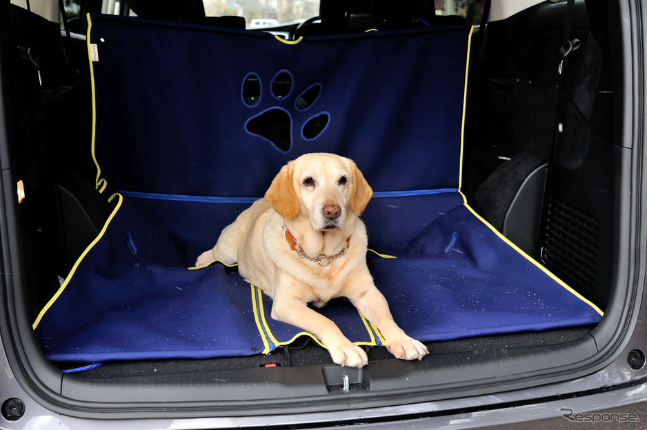 ホンダ オデッセイハイブリッド に愛犬を乗せて ペット旅を快適にする専用グッズ 12枚目の写真 画像 レスポンス Response Jp