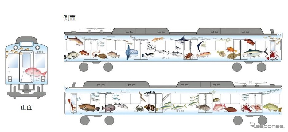 새롭게 도입되는 선어 운반 전용의 랩핑 차량 「이세 시마 물고기 도감」의 이미지.이세 시마 지역에 생식 하는 왕새우나 도미, 후그, 정어리, 맘보라고 하는 해산물 43 종류가 그려져 카타카나의 이름도 더해진다.
