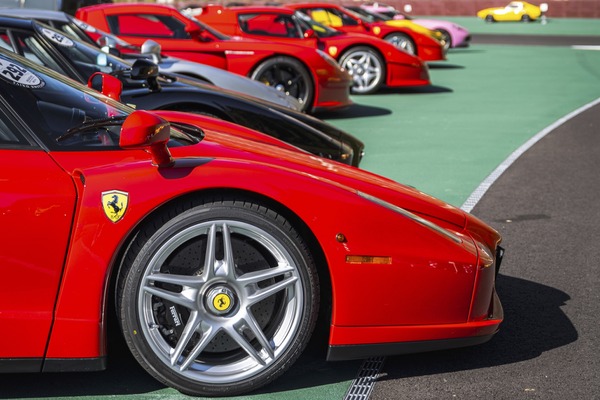 「一生に一度あるかないか」「見たすぎる」希少なスーパーカー、クラシックカーが数百台！「房走祭2025」に注目集まる