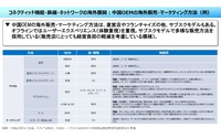 中国自動車産業の実力…現代文化研究所 主任研究員 八杉理氏［インタビュー］