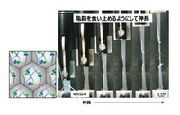 本研究で作製した微粒子フィルムの切れ目からの引裂試験の様子