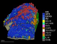 実証実験で得られた森林資源情報