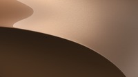 米州のキーカラー：AUXETIC NEUTRAL（オーセチック ニュートラル）