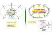 「電池のリミッティング・ファクターから見る、次世代技術と事業戦略～原理・原則から理解するTeslaやCATL、BYDの強さの秘密～」セミナー資料