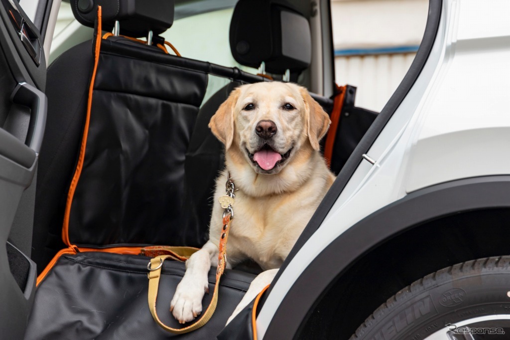 VWペット専用大型フラットベッド発売、愛犬家の意見を参考に開発
