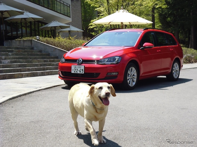 【青山尚暉のわんダフルカーライフ】愛犬の安全なクルマの乗せ方＆降ろし方