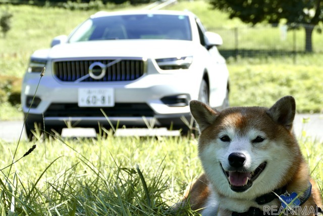 ハル×ボルボ XC40