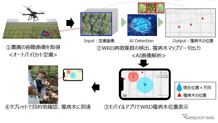 ブリヂストン、AI画像診断を用いた「パラゴムノキ」の高精度病害診断技術を電通国際情報サービスと共同開発