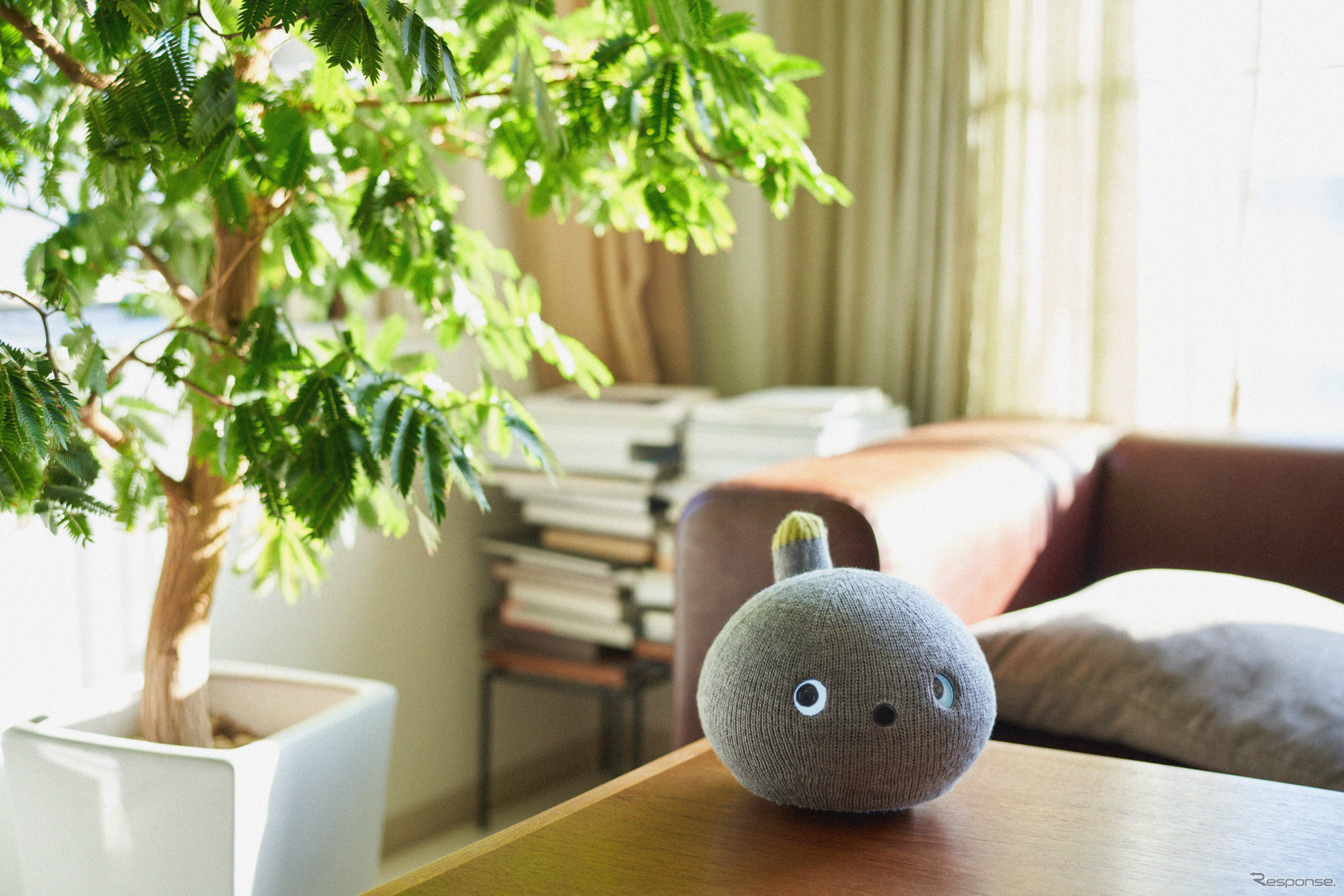 パナソニックが初めて開発した家庭用癒しロボット「NICOBO（ニコボ）」