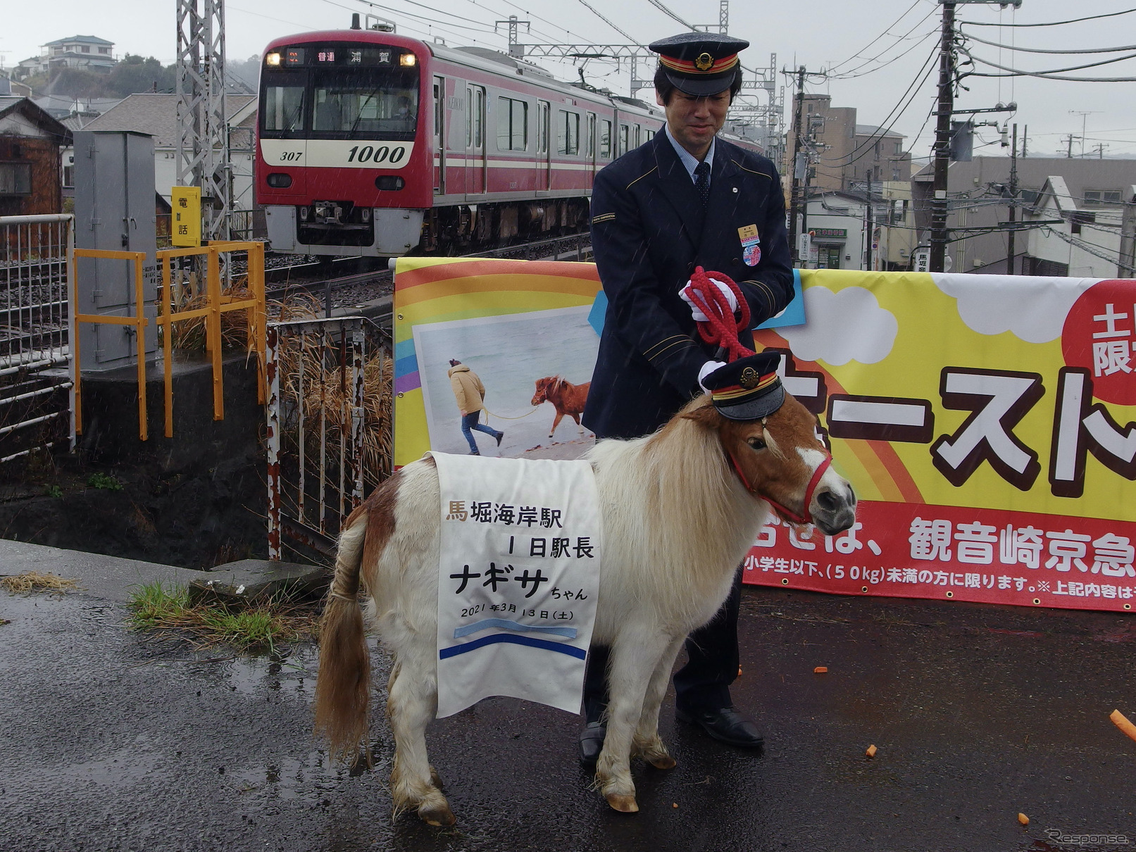 ミニチュアポニーが京急の馬堀海岸駅の1日駅長に就任。