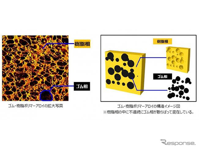 ゴム・樹脂ポリマーアロイの拡大写真（左）と構造イメージ図（右）