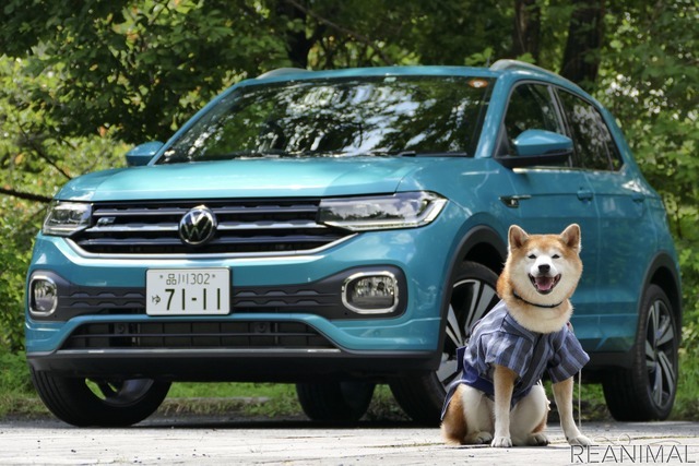 VW Tクロス × ハル