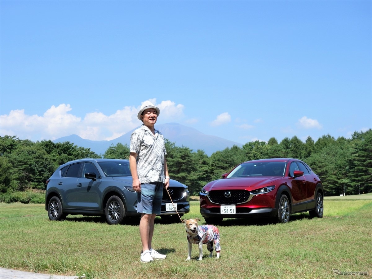 犬を車内のどこに乗せるか問題の結論