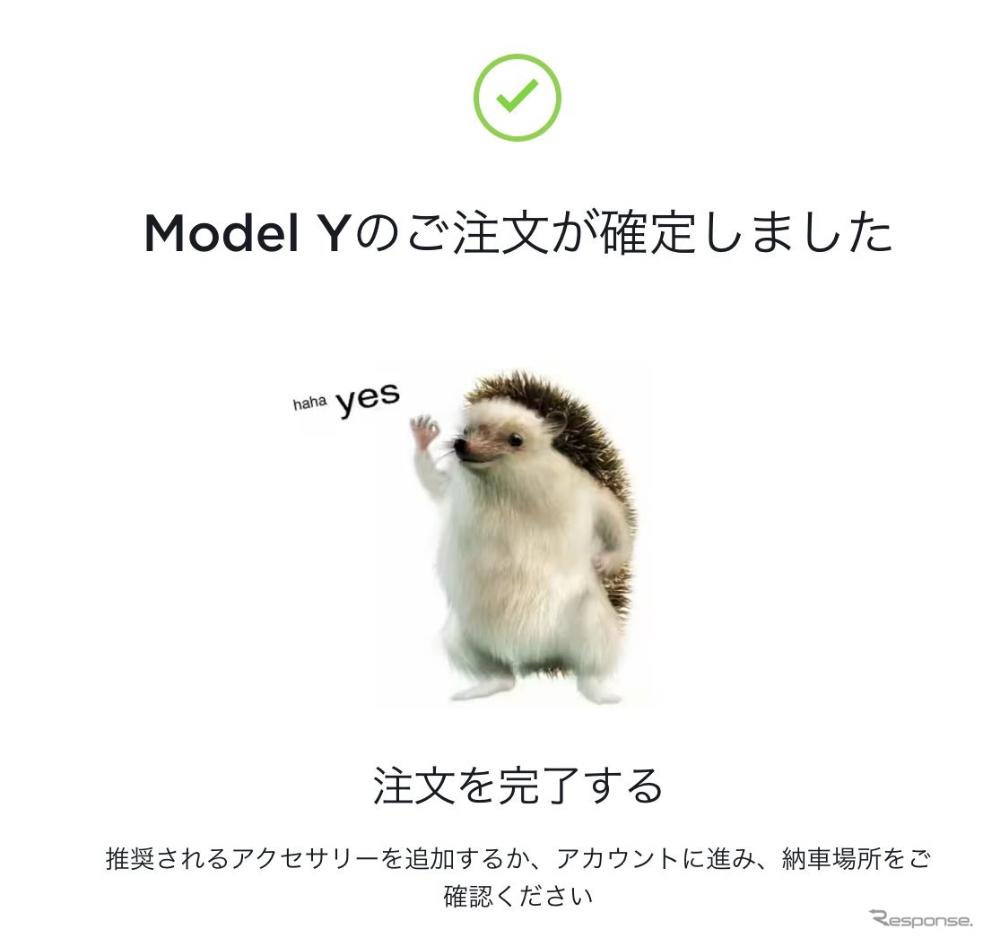 テスラ モデルYの注文が確定した瞬間。ハリネズミが可愛い。（スクリーンショット）