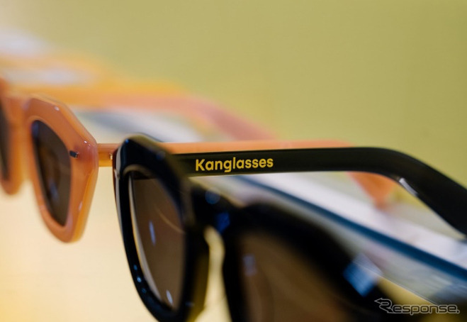 カングーに似合うサングラス「Kanglasses」