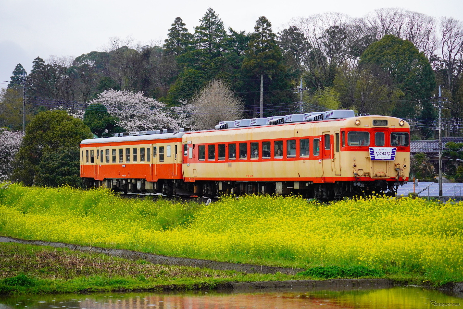 国鉄急行型気動車の営業列車がついに消える…いすみ鉄道のキハ28 2346