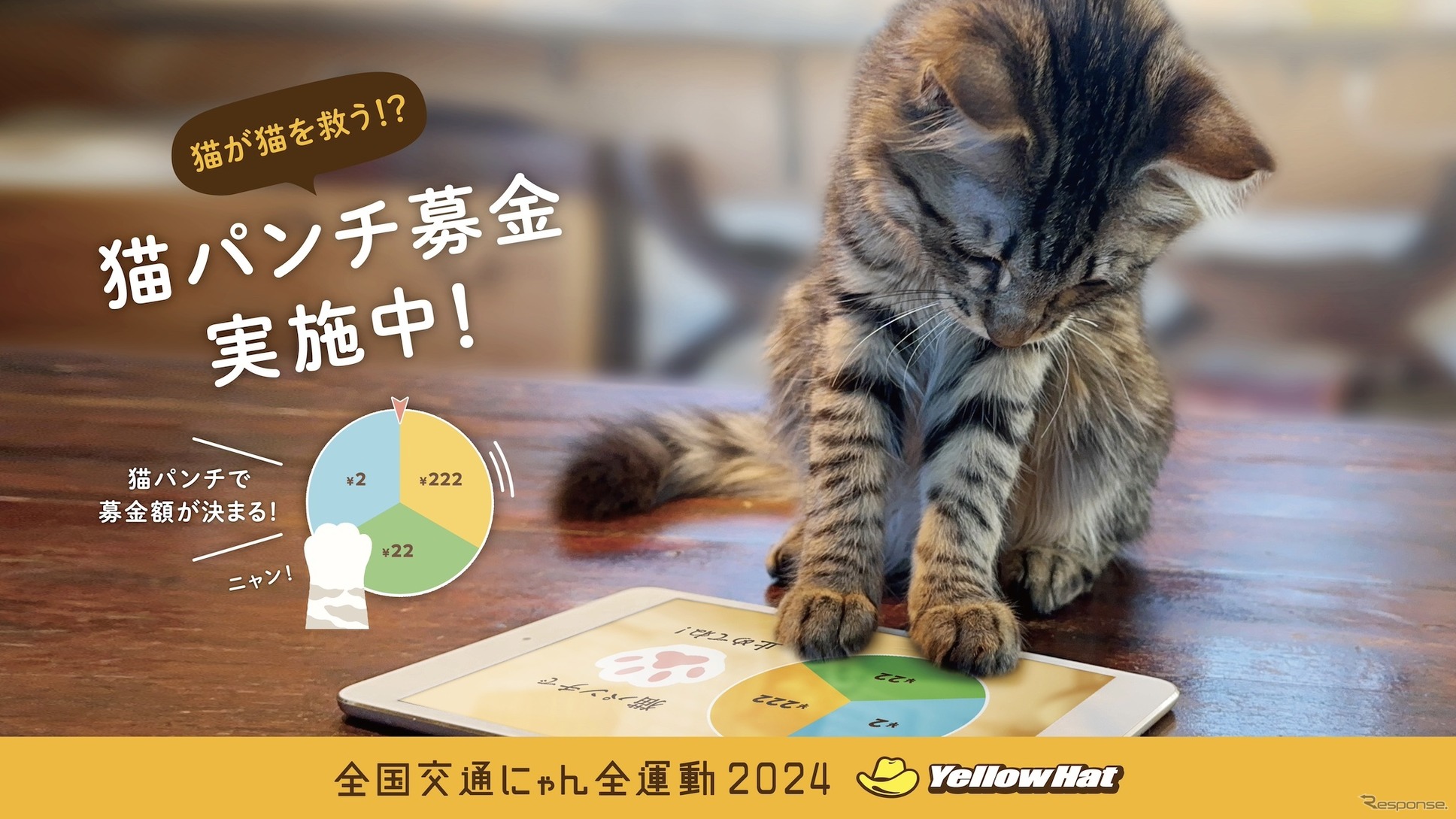 イエローハット：猫パンチ募金