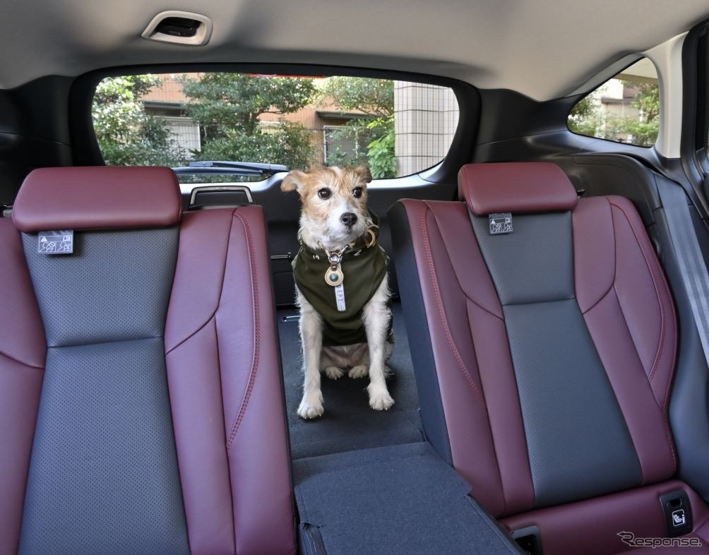 愛犬とドライブするのに役立つクルマの機能＆装備とは？