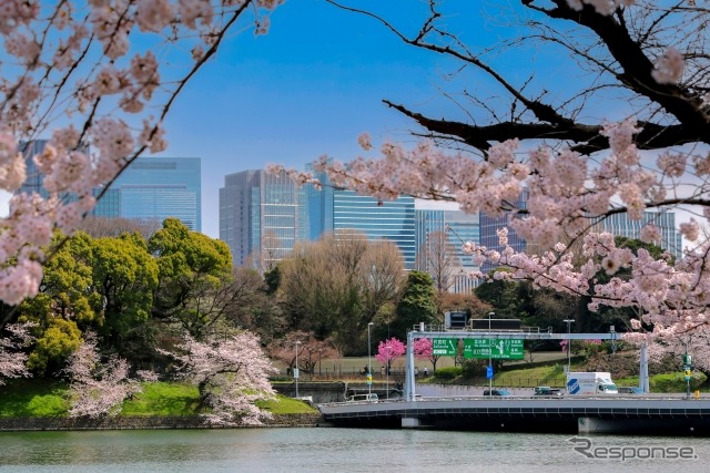 千鳥ヶ淵（東京都千代田区）