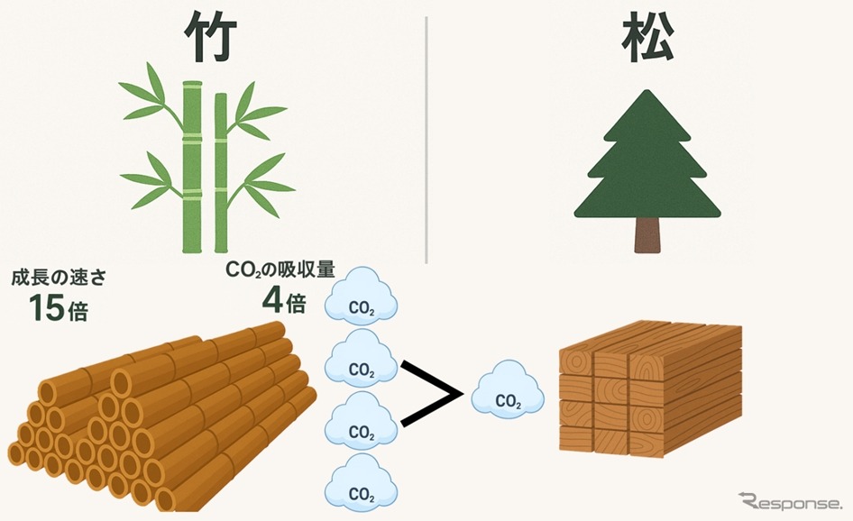同じ面積、期間で得られる竹と木材（松）の生育量の比較